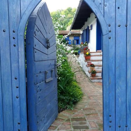 Casa Anca Cheile Nerei Villa Sokolar Eksteriør billede