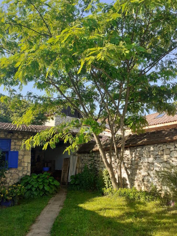 Casa Anca Cheile Nerei Villa Sokolar Eksteriør billede