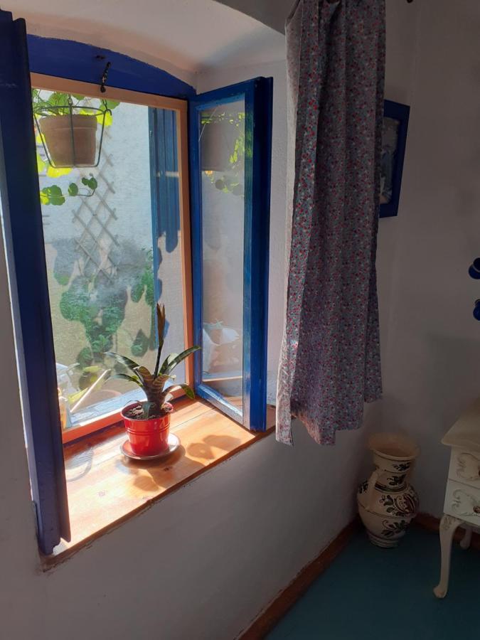 Casa Anca Cheile Nerei Villa Sokolar Eksteriør billede
