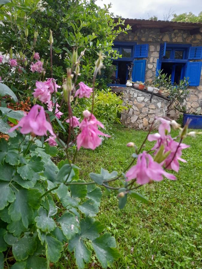 Casa Anca Cheile Nerei Villa Sokolar Eksteriør billede