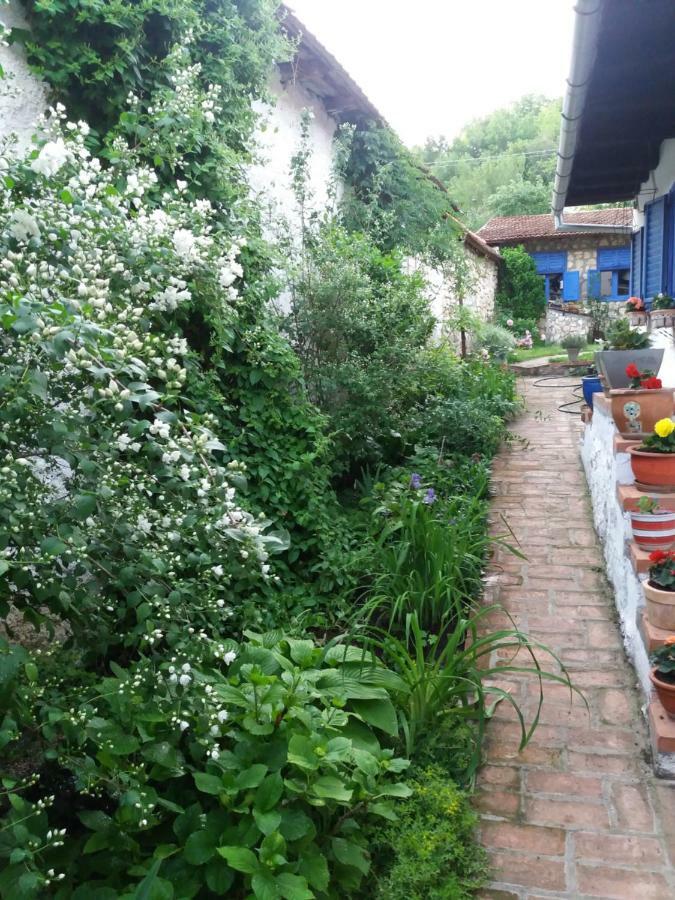 Casa Anca Cheile Nerei Villa Sokolar Eksteriør billede
