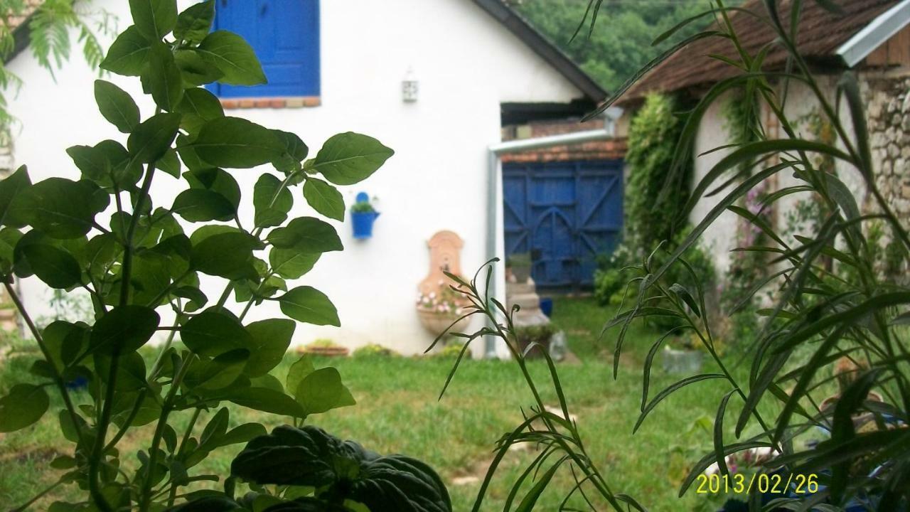 Casa Anca Cheile Nerei Villa Sokolar Eksteriør billede