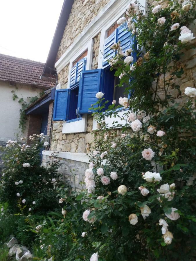Casa Anca Cheile Nerei Villa Sokolar Eksteriør billede