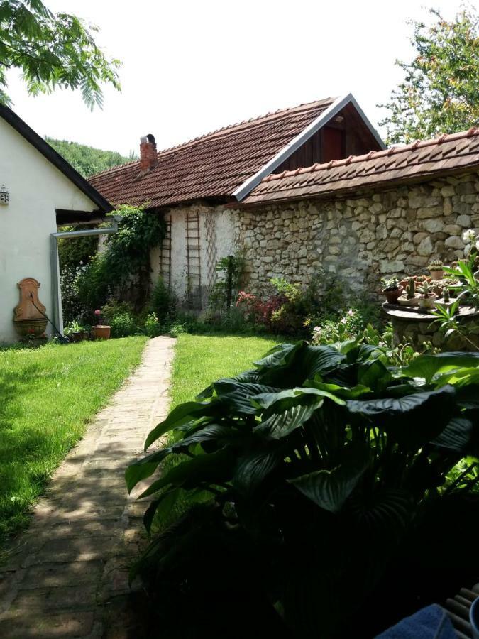 Casa Anca Cheile Nerei Villa Sokolar Eksteriør billede